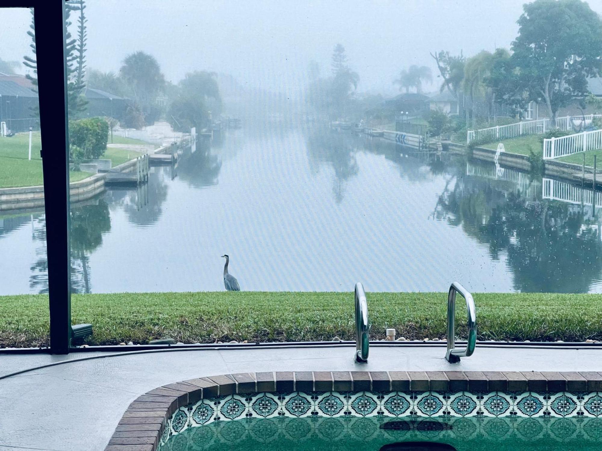 Serenity Waterfront Villa With King Suite, Private Pool, Great Lanai Enclosure And Long Water Views كيب كورال المظهر الخارجي الصورة